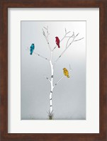 Three In A Tree Fine Art Print