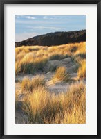 Dune Grass Qnd Beach III Fine Art Print