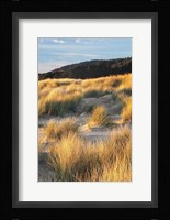 Dune Grass Qnd Beach III Fine Art Print