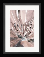 Pretty In Pink II Fine Art Print