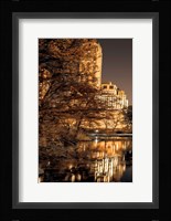 Central Park Glow I Framed Print