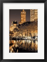 Central Park Glow II Framed Print
