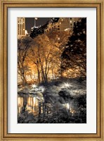 Central Park Glow III Fine Art Print