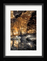 Central Park Glow III Framed Print