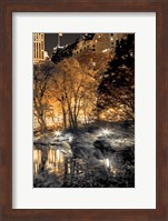 Central Park Glow III Fine Art Print