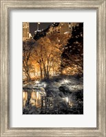 Central Park Glow III Fine Art Print