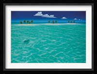 Turtle Crossing Fine Art Print