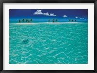 Turtle Crossing Fine Art Print