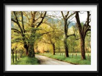 Warm Morning Light Fine Art Print