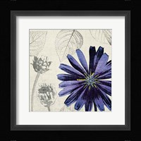 A Touch of Color III Framed Print