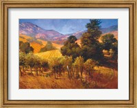 Southern Vineyard Hills Fine Art Print