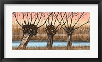 Trees and Reeds Fine Art Print