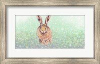 Hare I Fine Art Print