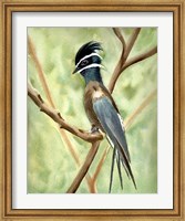 Bird on Branch Fine Art Print