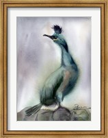 Bird on Rock Fine Art Print