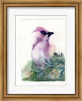 Purple Bird Fine Art Print