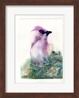 Purple Bird Fine Art Print
