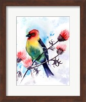 Tropical Bird III Fine Art Print