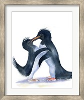 Penguins Fine Art Print