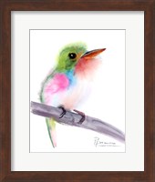 Tropical Bird V Fine Art Print