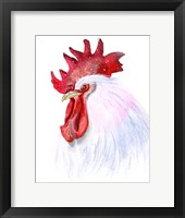 Rooster Fine Art Print
