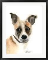 Pup Fine Art Print