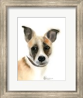 Pup Fine Art Print