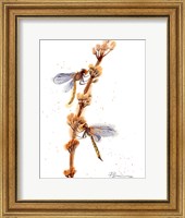 Dragonflies Fine Art Print