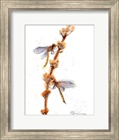 Dragonflies Fine Art Print