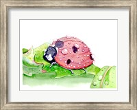 Ladybug Fine Art Print