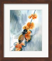 Bee III Fine Art Print