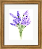 Purple Flowers IV Fine Art Print