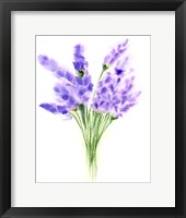 Purple Flowers IV Fine Art Print