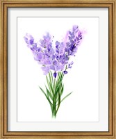 Purple Flowers V Fine Art Print