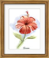 Red Flower Fine Art Print
