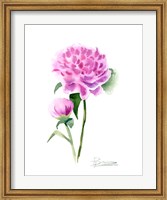Pink Flowers IV Fine Art Print