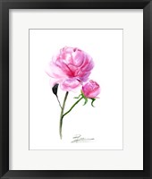 Pink Flowers V Fine Art Print