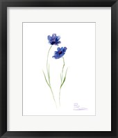 Blue Flowers II Fine Art Print