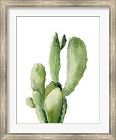 Cactus II Fine Art Print