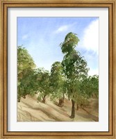 Apple Trees Fine Art Print