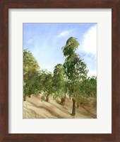 Apple Trees Fine Art Print