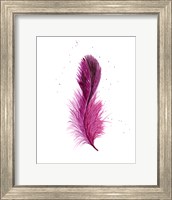 Pink Feather Fine Art Print