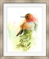 Orange Bird Fine Art Print