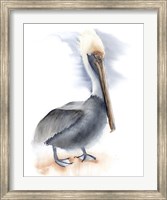 Pelican Fine Art Print