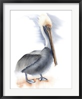 Pelican Fine Art Print