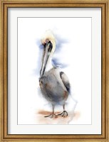 Pelican II Fine Art Print