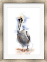 Pelican II Fine Art Print