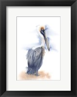 Pelican III Fine Art Print
