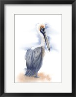 Pelican III Fine Art Print