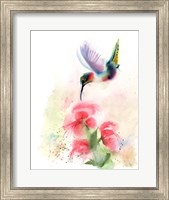 Red Flower Hummingbird Fine Art Print